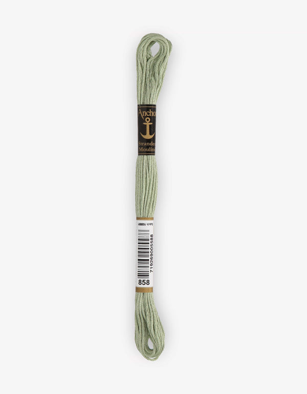 Anchor Mouline Stranded Cotton Embroidery Thread 8m - Green (0858)