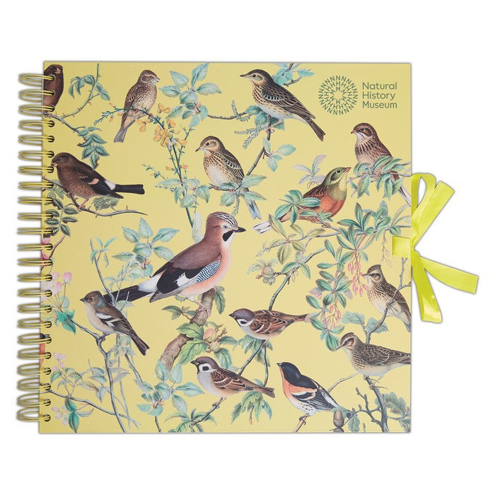 Natural History Museum 12" Scrapbook - Flock