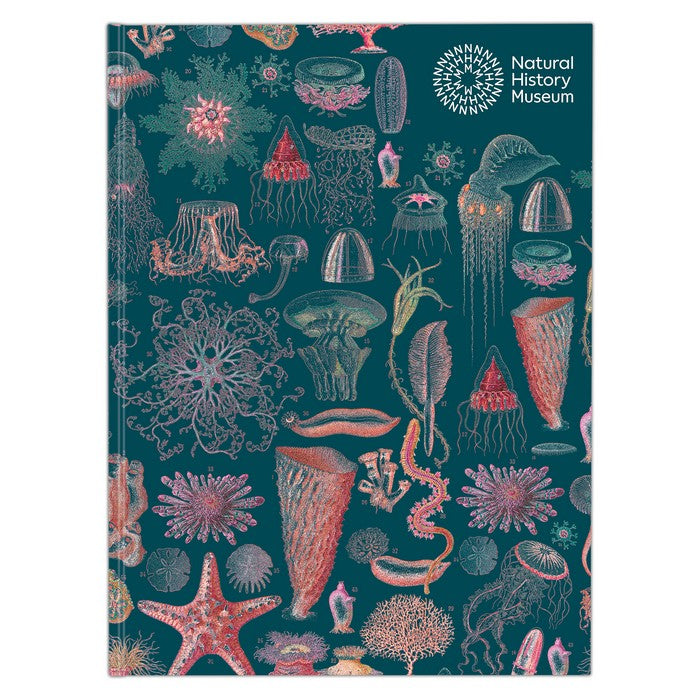 Natural History Museum A5 Hardback Sketchbook -  Underwater