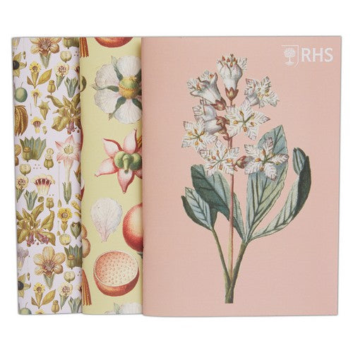 RHS A5 Sketchbook 100gsm 20sht - Geissler (3pk)