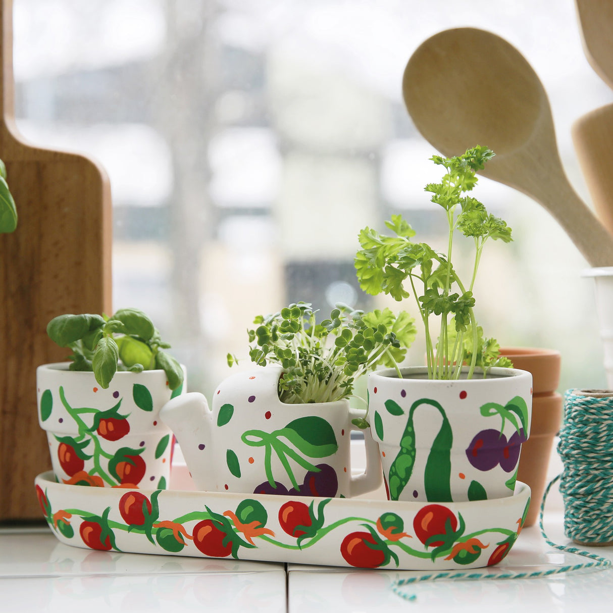 RHS Paint Your Own Kit - Windowsill Garden