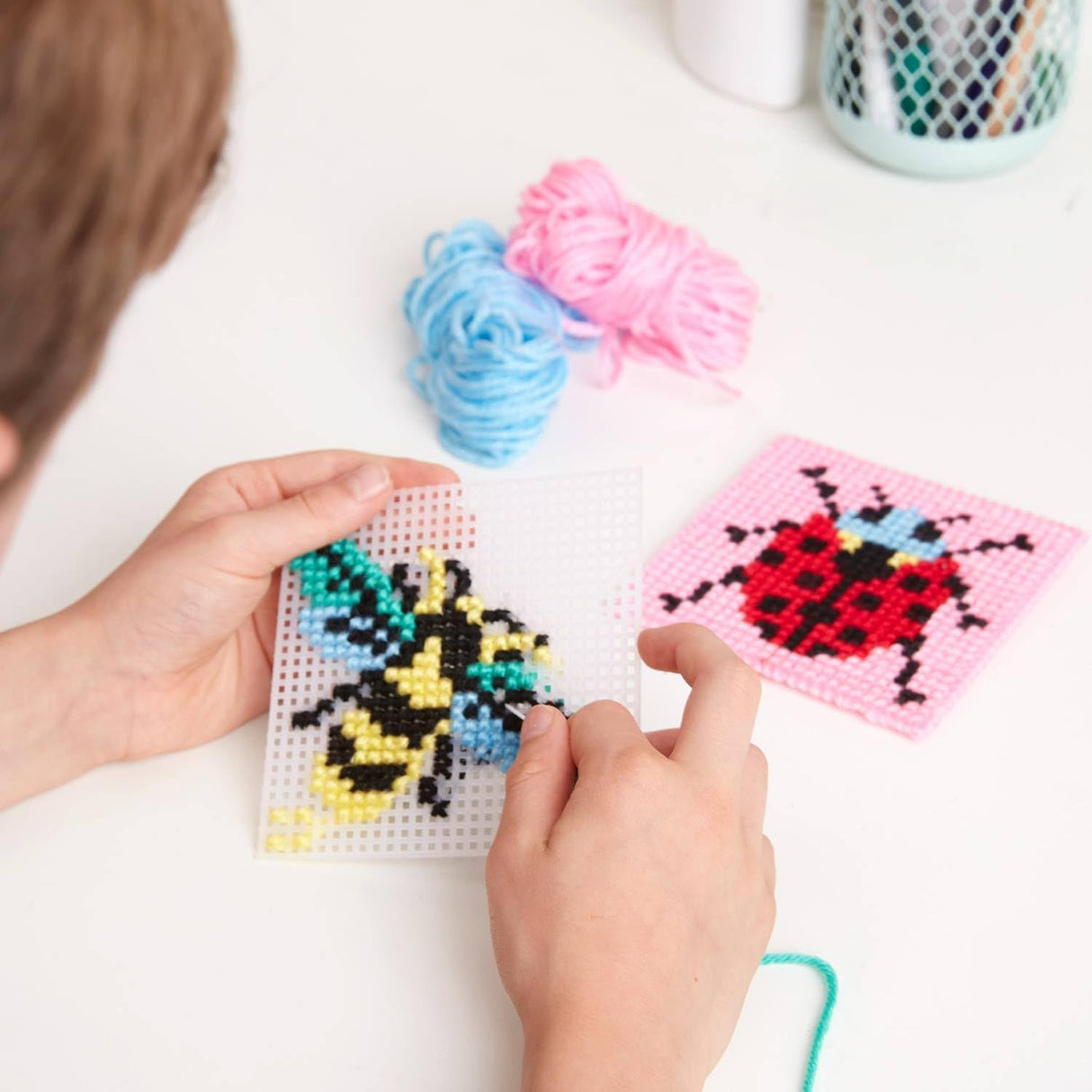 RHS Mini Cross Stitch - Bugs